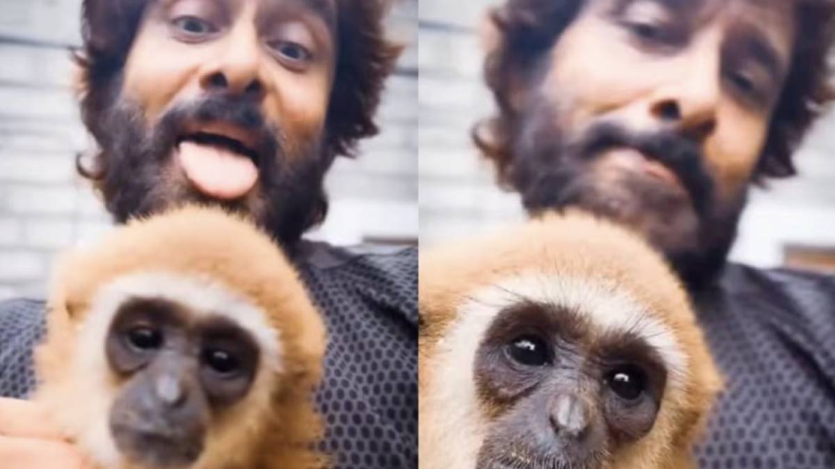 Chiyaan Vikram’s Lar Gibbon Video Sparks Wildlife Controversy; Forest Department Launches Probe