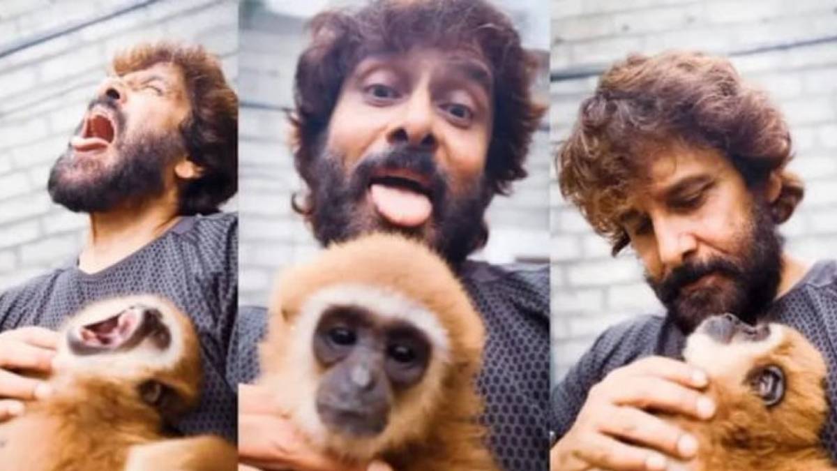 Vikram Lar Gibbon controversy,