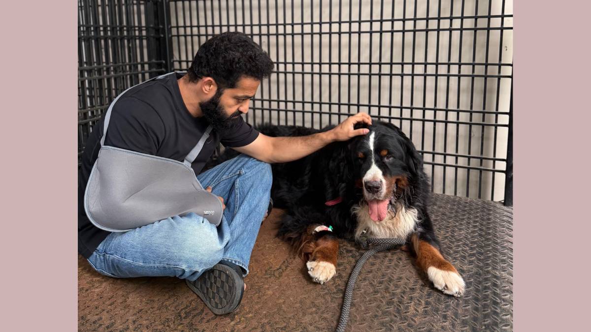 Jr NTR Pays Emotional Tribute to Pet Dog Bagheera After Four-Year Bond