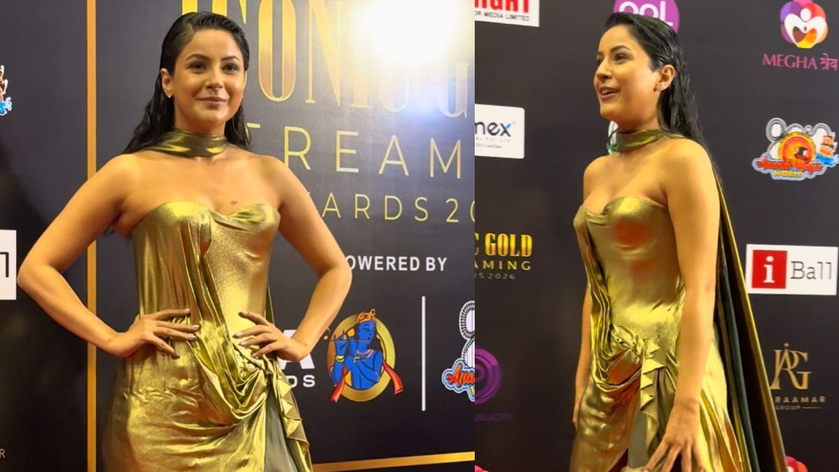 Shehnaaz Gill hot look