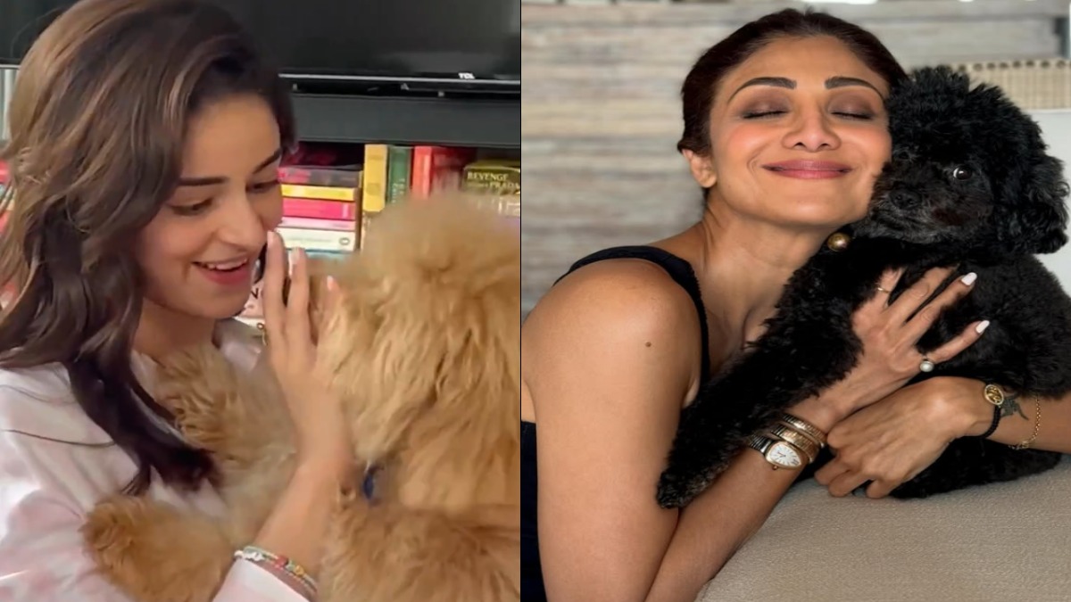 World Dog Day 2026: From Brad Pitt to Ananya Panday, Stars and Their Adorable Four-Legged BFFs